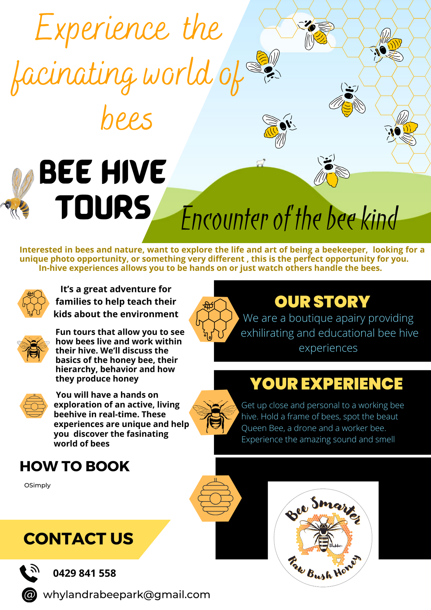 Bee Hive Tours